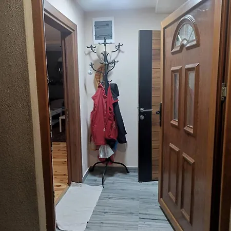 Vujosevic Nest *